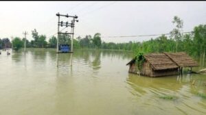 Bijnor
